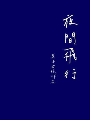夜间飞行